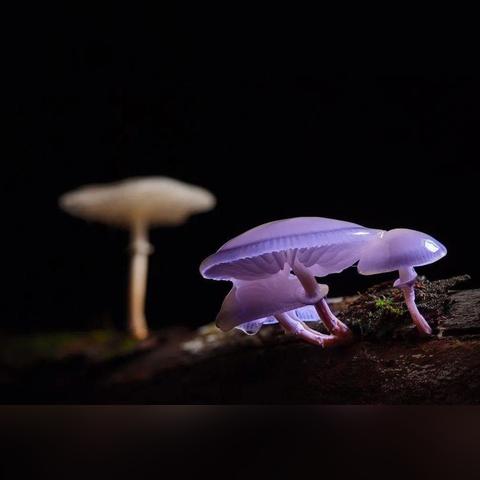 探讨纺织品易氧化现象及其原因