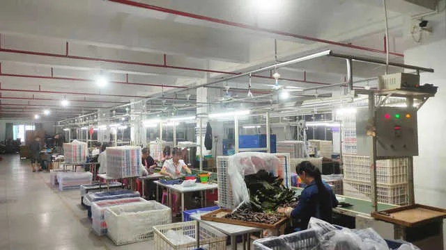 The Story of Huizhou Zhicheng Textile Factory