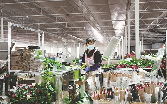 The Transformative Journey of the Kunming Textile Factorys New Plant