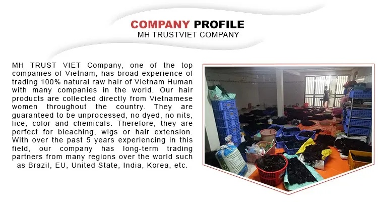 Top Vietnamese Textile Manufacturers Rankings