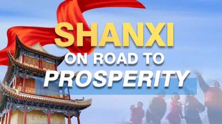 Exploring the World of Shanxis Professional Textile Services
