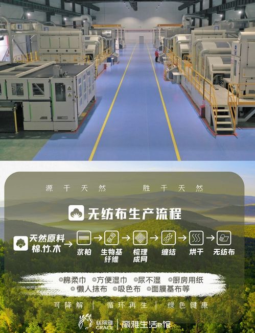 蓝纺织厂的工艺与创新