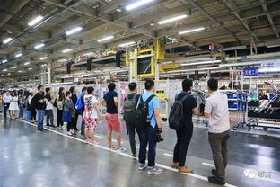 郑州南三环纺织品批发市场的探索与案例分析