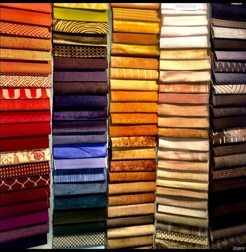 The Fabric of Our Future:An Exploration into the World of Textiles