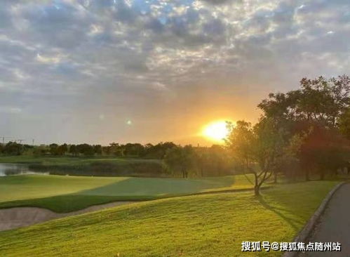 梁溪区个人纺织品批发价格分析