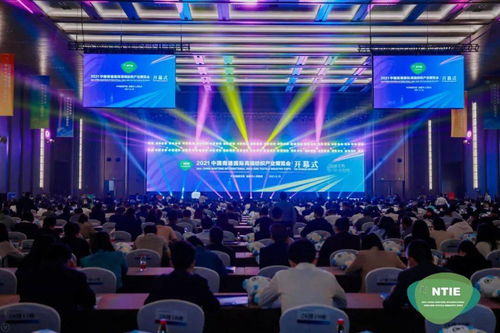 盛宴纺织厂的盛大盛典