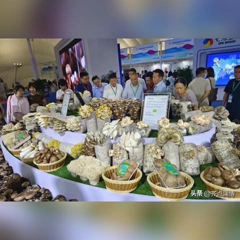 高端母婴店纺织品牌排行榜