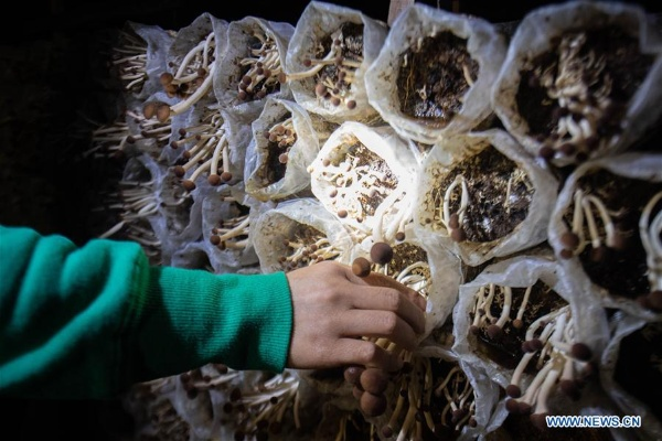The Story Behind the Worlds First Textile Plant in Wuhan