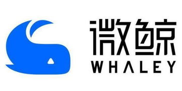 奈思纺织品牌评价，品质与口碑的双重见证
