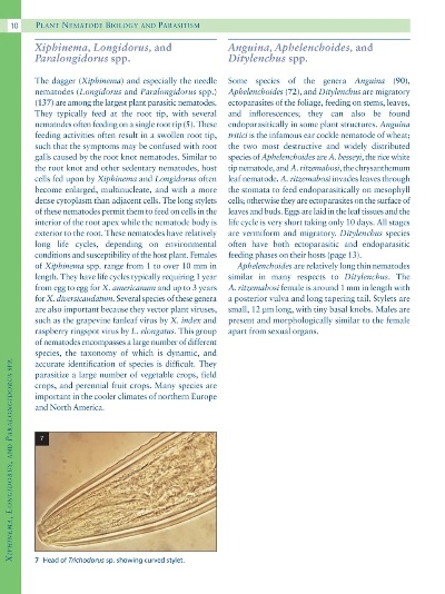 The Multifaceted World of Hygiene Textiles:A Comprehensive Guide