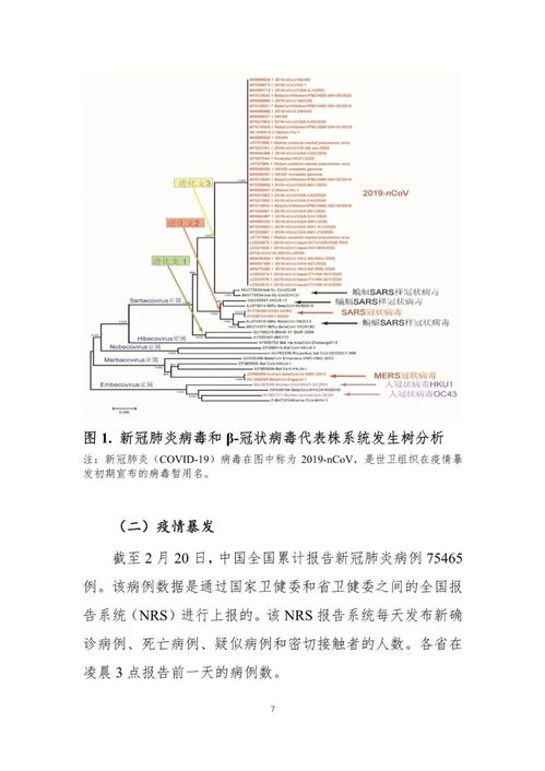 嘉定区家用纺织品成品批发市场考察报告