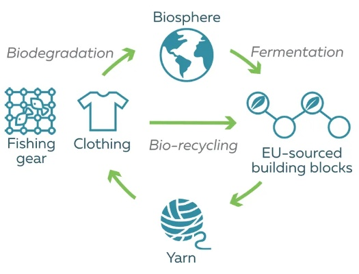 The Evolution of Luohua Textiles:A Journey from Innovation to Global Presence
