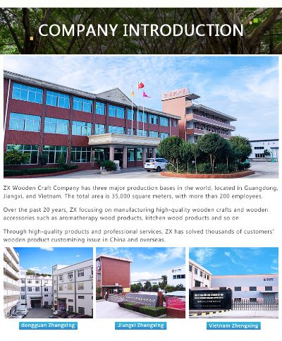 The Dynamics of Wanzhi Dongxing Textiles Co.Ltd.