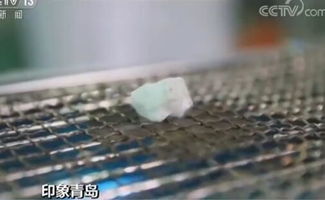 伪装纺织品研究所，探索纺织品制造的秘密世界