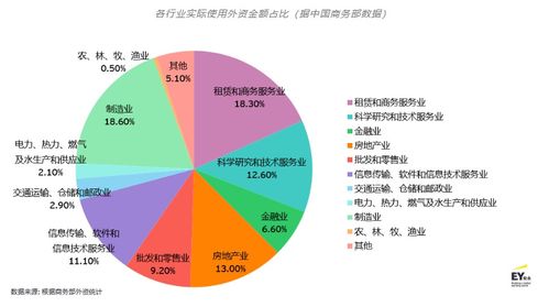 印度纺织品发展，案例分析与未来趋势