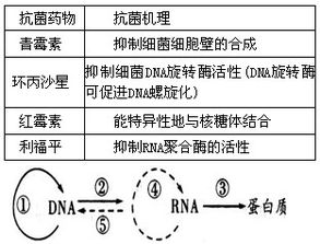抗菌纺织品的意义与实例分析
