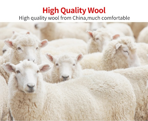 The Story of Textile Factorys Sheeps Cashmere