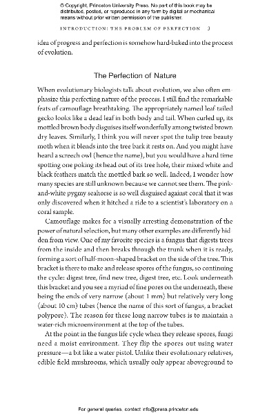 The Evolution and Impact of Textiles in Modern Society