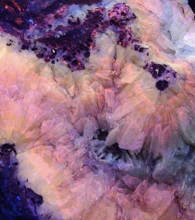 A Glimpse into the Luxurious Textiles of Yuexian District,China