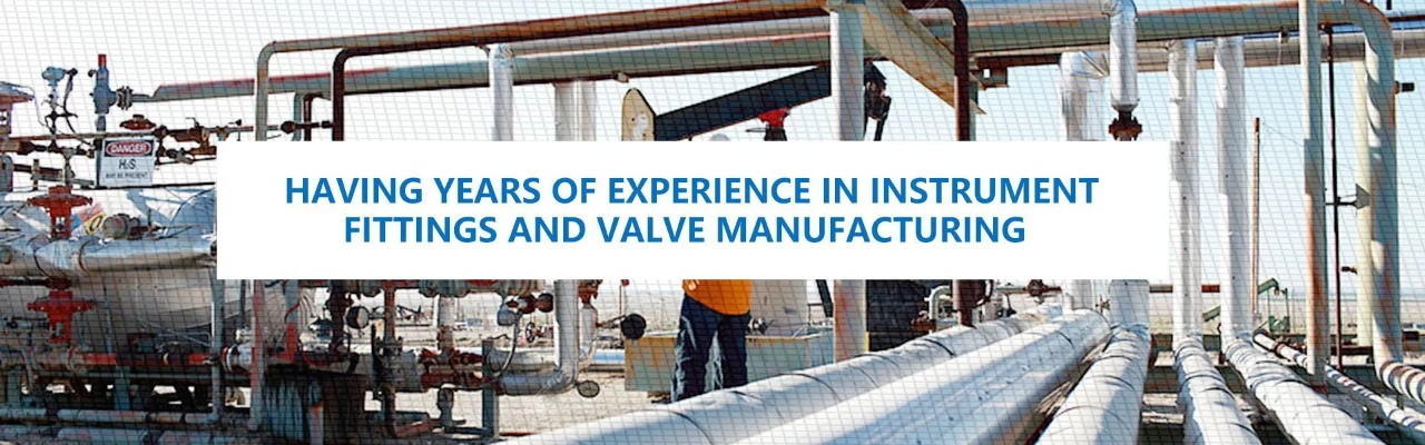 Expanding Horizons:The Journey of a Nanjing-based Textile Producer