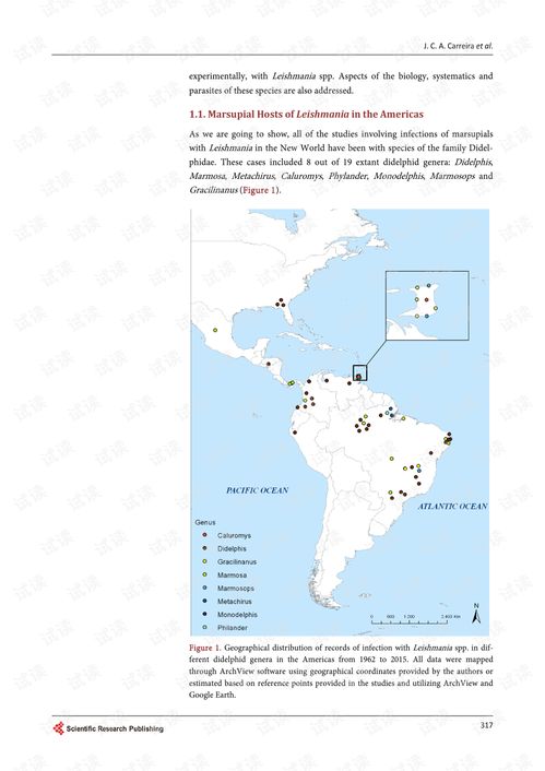 The Global Fabrics:An Overview of Textile Export Industries