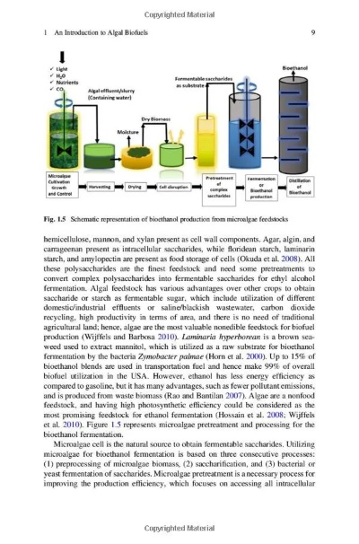 The Microbial Examination of Textiles
