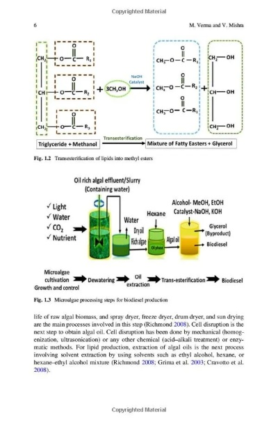 The Microbial Examination of Textiles