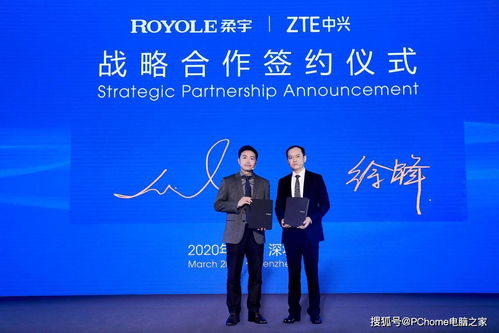 The Dynamics of Zheping Textiles:A Comprehensive Analysis