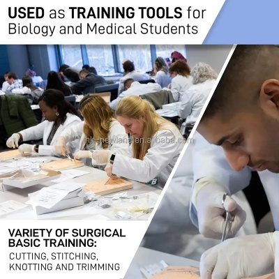 Understanding the Specialist Studies in Medical Textiles