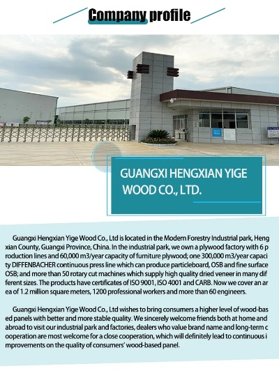 The Story of Textile Factorys Plywood
