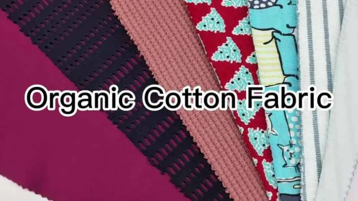 The Fabric of Urban Life:An Exploration of Yuecheng and Cangyang Textiles