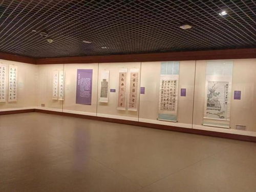 青岛富丰纺织品，品质与多元的展示