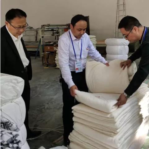 纺织品安全问题，现状与应对策略