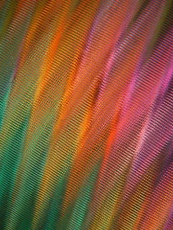 The Color Spectrum of Textiles