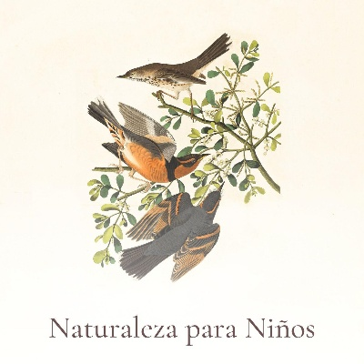 Nantong Bird Song Textile Brand:A Unique Story