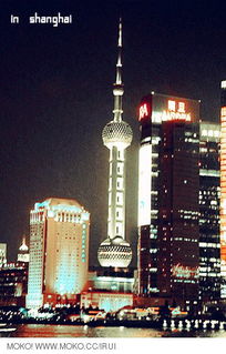 Shanghai Maillong Textiles:A Global Fabric in the Making