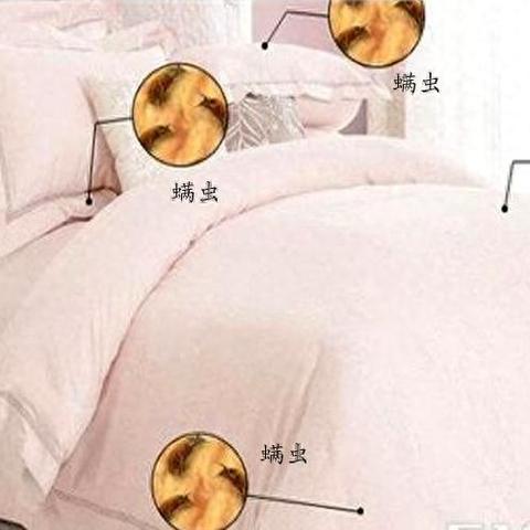 纺织品ISO洗涤护理标准实例与案例分析