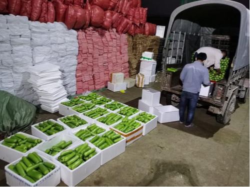纺织品，批发与零售的交织之路