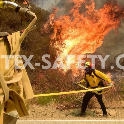 The Fire Behavior of Textiles