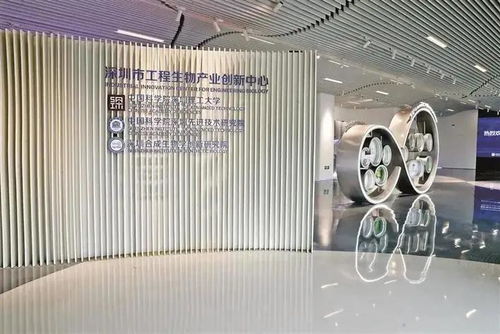 宏宇针纺织品，品质与创新的融合
