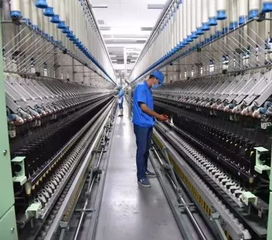 纺织品原料报价网，市场动态与案例分析