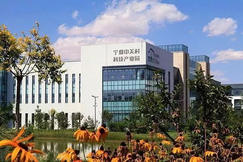 Ningxia Textile Brands Womens Clothing Supplier:A Case Study