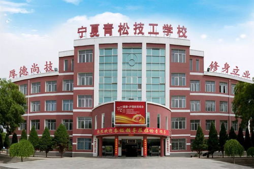 Ningxia Textile Brands Womens Clothing Supplier:A Case Study