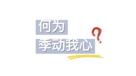 The Quality of Shenyang Textile Brands:A Review