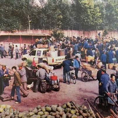 西宁纺织品，行业概览与单位介绍