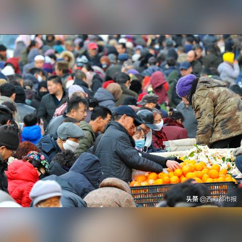 西宁纺织品，行业概览与单位介绍