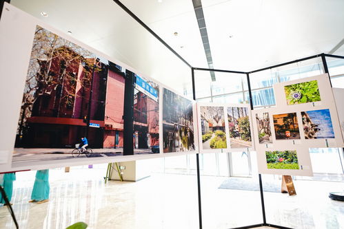 绍兴多瑞纺织品，品质与多元的展示