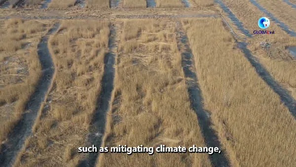 Highlighting the Environmentally Friendly Textiles in Hebei Province