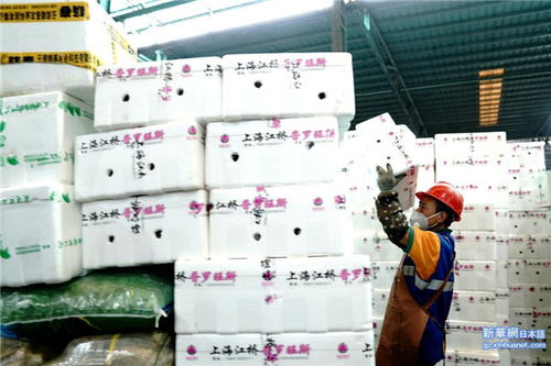 海吉星批发市场纺织品采购指南