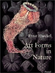 The Art of Nature in the Textiles:A Journey through Wild Cherry Fragrance